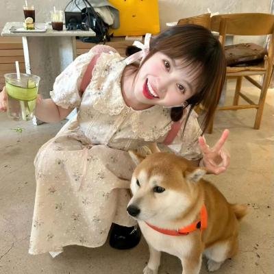 山口海报