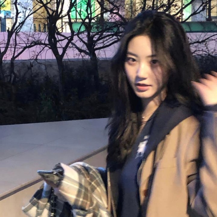 我的挚友安妮·法兰克海报